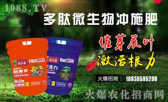 GšףԸһ·тw꼪飡