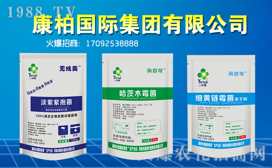 ؇Hףһ·тµһҸMHҚg