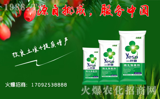 ؇Hףһ·тµһҸMHҚg