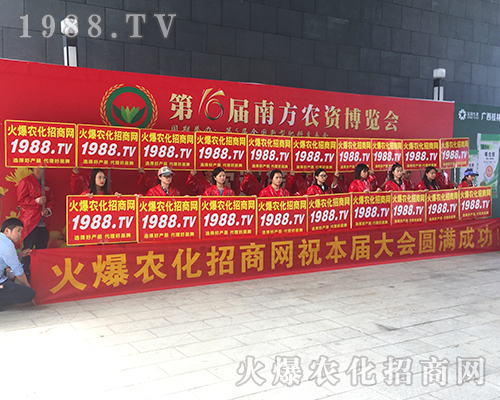 o̎r(nng)W(wng)M۱Mǻ𱬼t