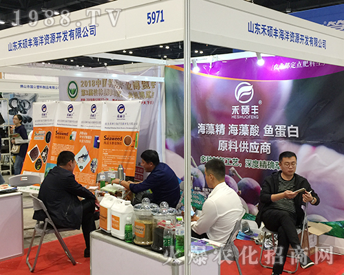 ɽ|̴TSʘI(y)ڵʮÏVόr(nng)Y(hu)ϲ