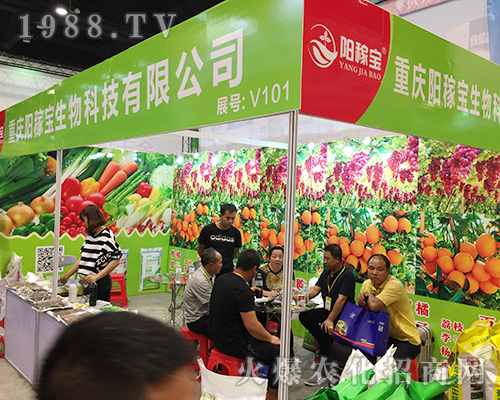 2018Vόr(nng)Yؑcꖼڌ(qing)ݳ