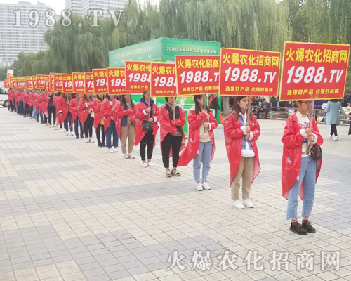     R201824ɽ|ֲp