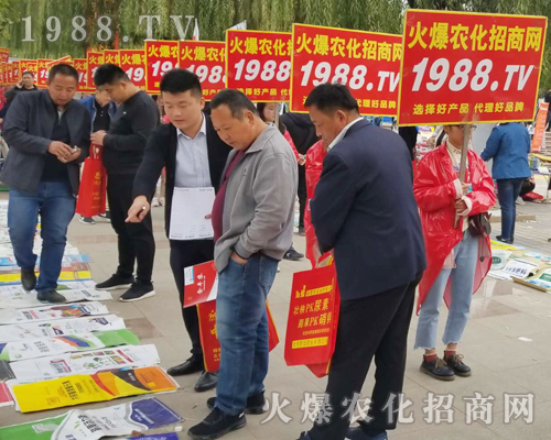     2018ɽ|ֲוr(nng)W(wng)ֱǰ