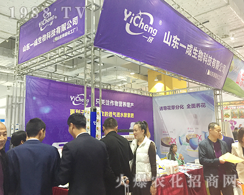 2018ɽ|ֲpɽ|һ＼Ⱥ