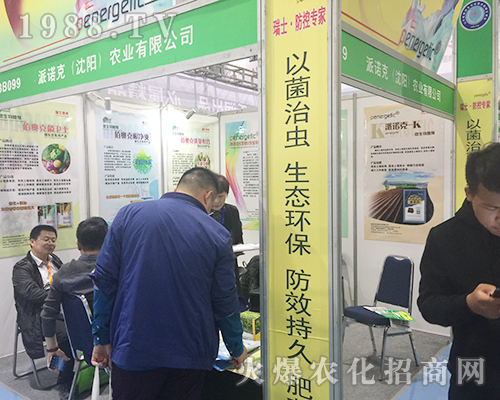 Zˣ(yng)r(nng)I(y)2018ɽ|ֲ(hu)չȭ_