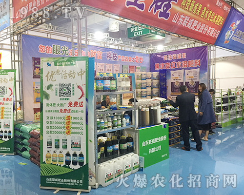 ɽ|(lin)ʘI(y)2018ɽ|ֲp