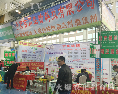 2018ɽ|(j)ֲp(hu)ϺϷʰٴâf(wn)