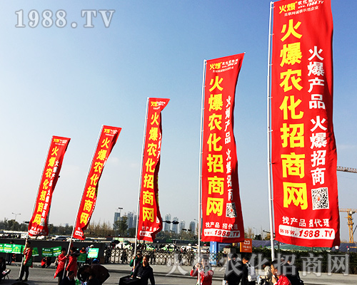 ʮČȫֲr̾W(wng)Lȫ