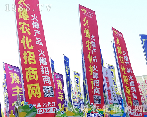     ڶʮһr(nng)ˎ(hu)r(nng)W(wng)ȫ̹