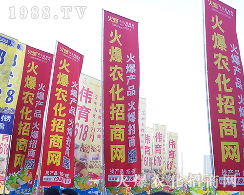 2018r(nng)ˎ1988.TV***