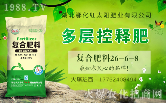 t̫ꖷʘI(y)ףȫµһ﹤