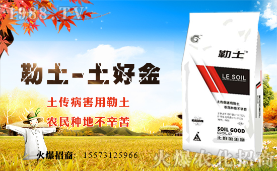 ýףµһ´옷