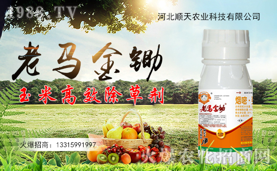 【順天農(nóng)業(yè)】祝全國(guó)朋友在新的一年里幸福美滿,闔家歡樂!