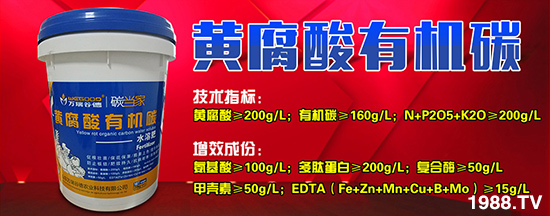 ɽ|fȵ¡ȫwTor(nng)Y(jng)Nт