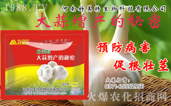 ףwdHҸ