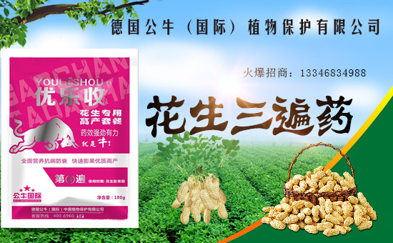 【德國公!孔4蠹以谛碌囊荒昀锕ぷ黜樌,步步高升!