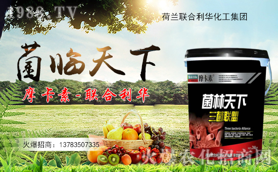 (lin)Aףµһwf