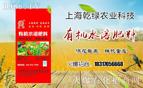 ǬGr(nng)I(y)ףҸMHҚg