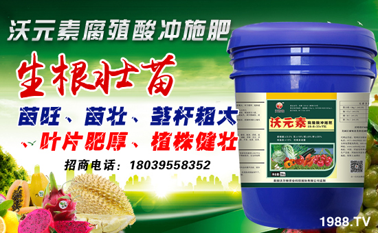 ֠Dr(nng)I(y)ףµһ´f(wn)