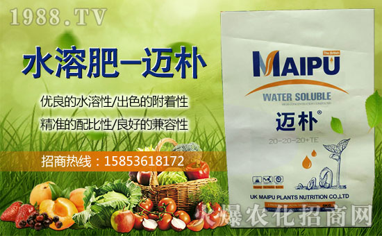 Ӣ~ֲףȫwf