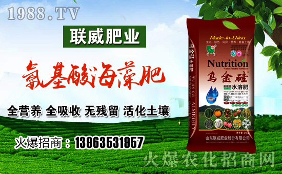 (lin)ʘI(y)ףµһ﹤