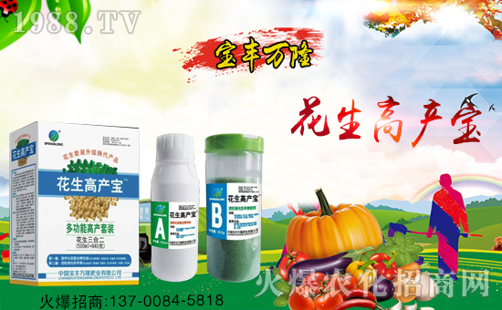 Sf¡ףµһҸMHҚg