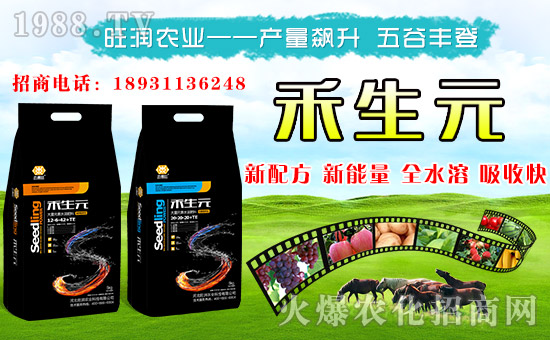 r(nng)I(y)oף´f⣡