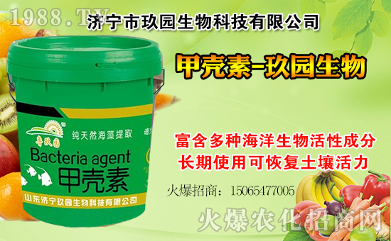 @ףһ·߁тw