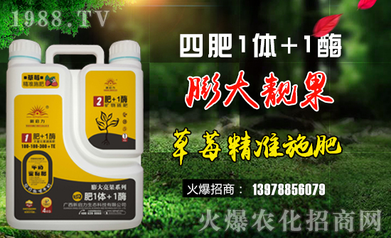 ףһ·тµһҸMHҚg