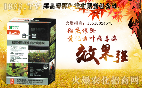 GԴƼףµһw³f⣡