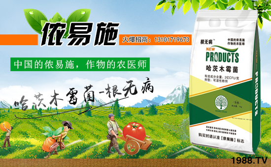 ЇzʩȫwTףV͑옷f