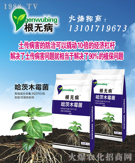 ЇzʩȫwTףV͑옷f⣡