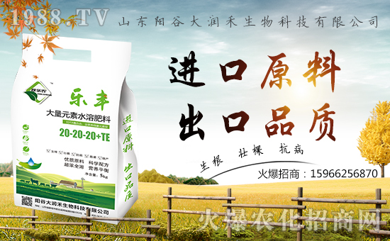 󝙺ףȫ(jng)NAM⣬