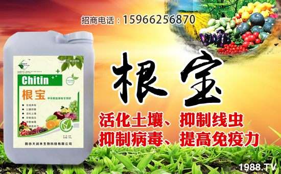 󝙺ףȫ(jng)NAM