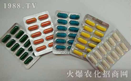 【巨人城生物】全體員工祝大家吉祥發(fā)財,心想事成!