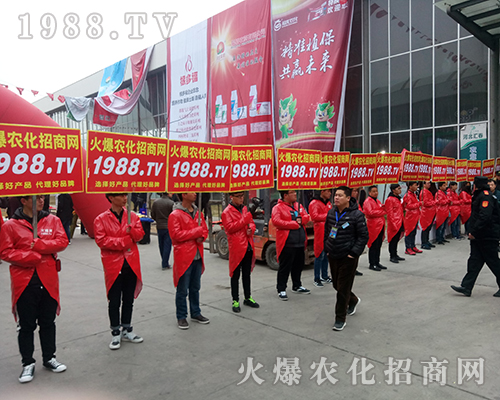 Ҫ1988.TVذ2018ӱֲ