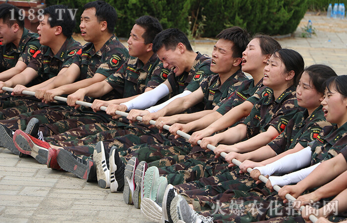 一路花開,一路有你!火爆十年,從“心”出發(fā)!