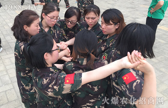 十年磨礪創(chuàng)佳績 使命必達為初心