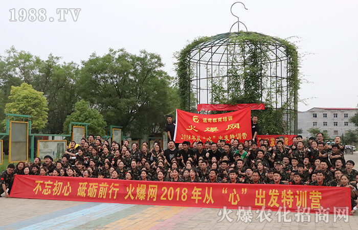 拼搏到無能為力,努力到感動自己!