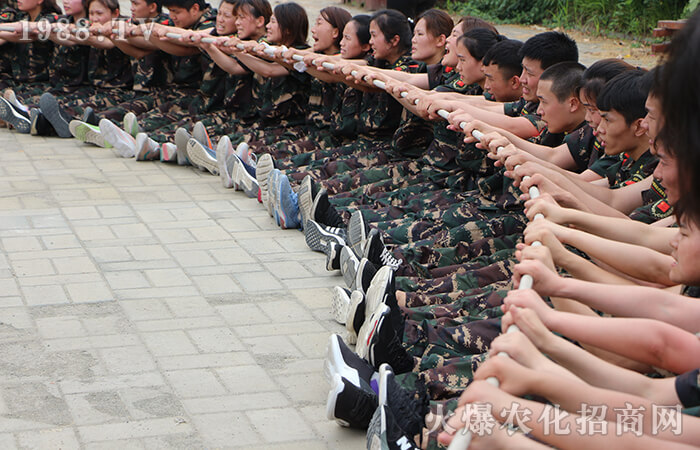 初的我 初的夢 初的心