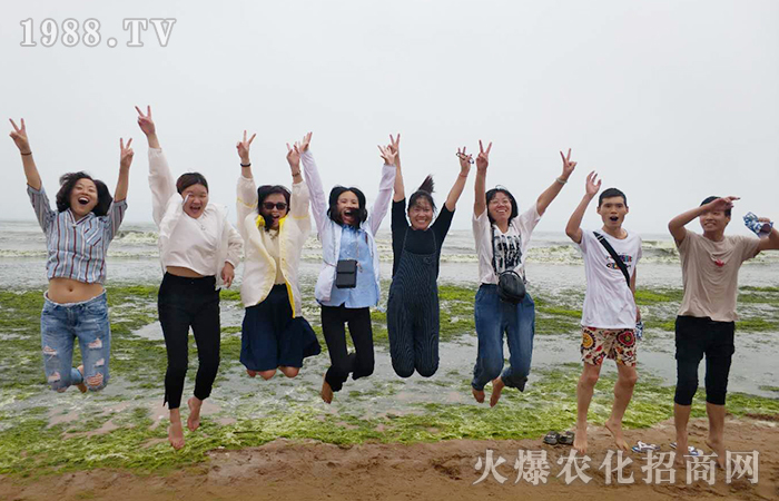 海風(fēng)里的似水流年