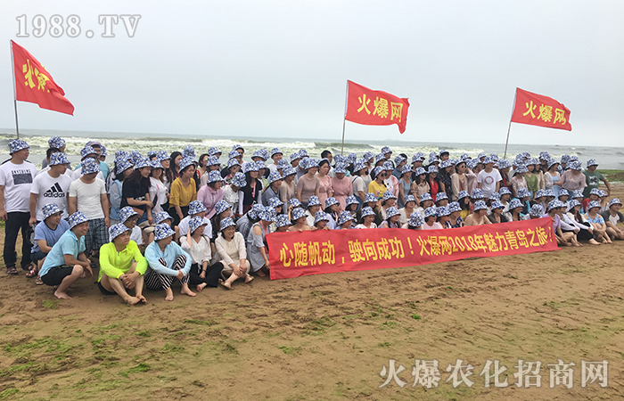 享受青島魅力之美,品讀經典歷史文化精髓!