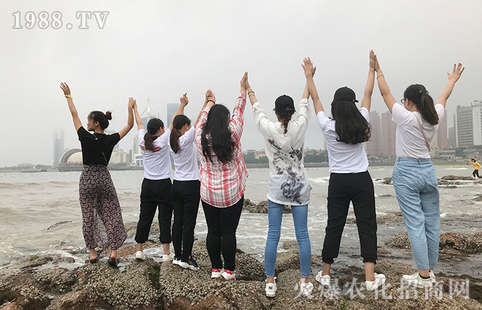 享受青島魅力之美,品讀經典歷史文化精髓!