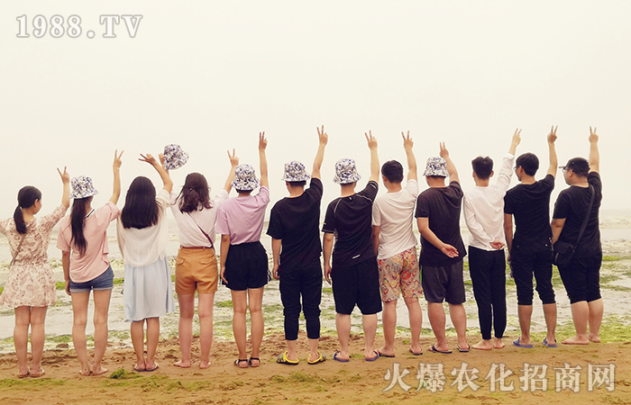 享受旅游,感恩公司