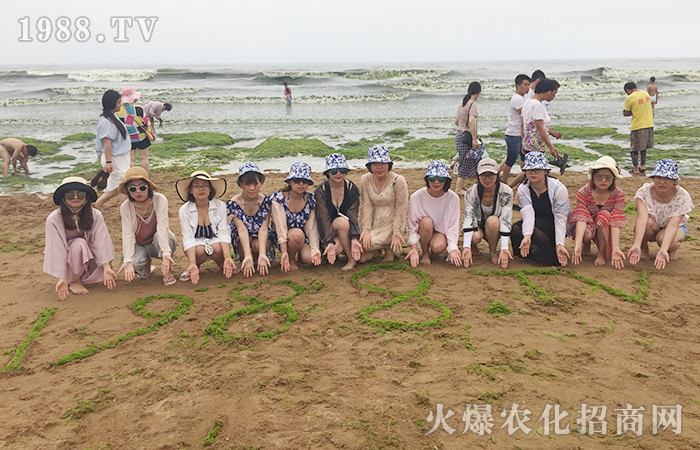 歡樂旅行,魅力青島