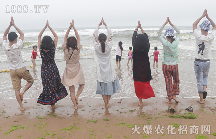 紅瓦綠樹、碧海藍(lán)天,擁抱大海,放飛心情!