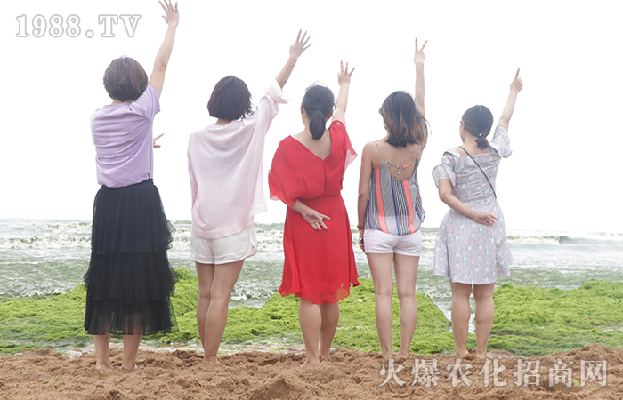 碧海藍(lán)天 就是遠(yuǎn)方