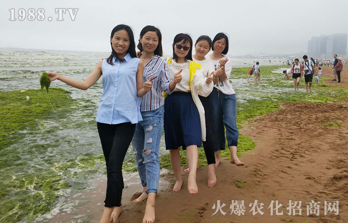 夏游海濱青島,火爆家人歡樂多