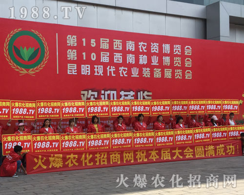 o̎r(nng)W(wng)M۱Mǻ𱬼t